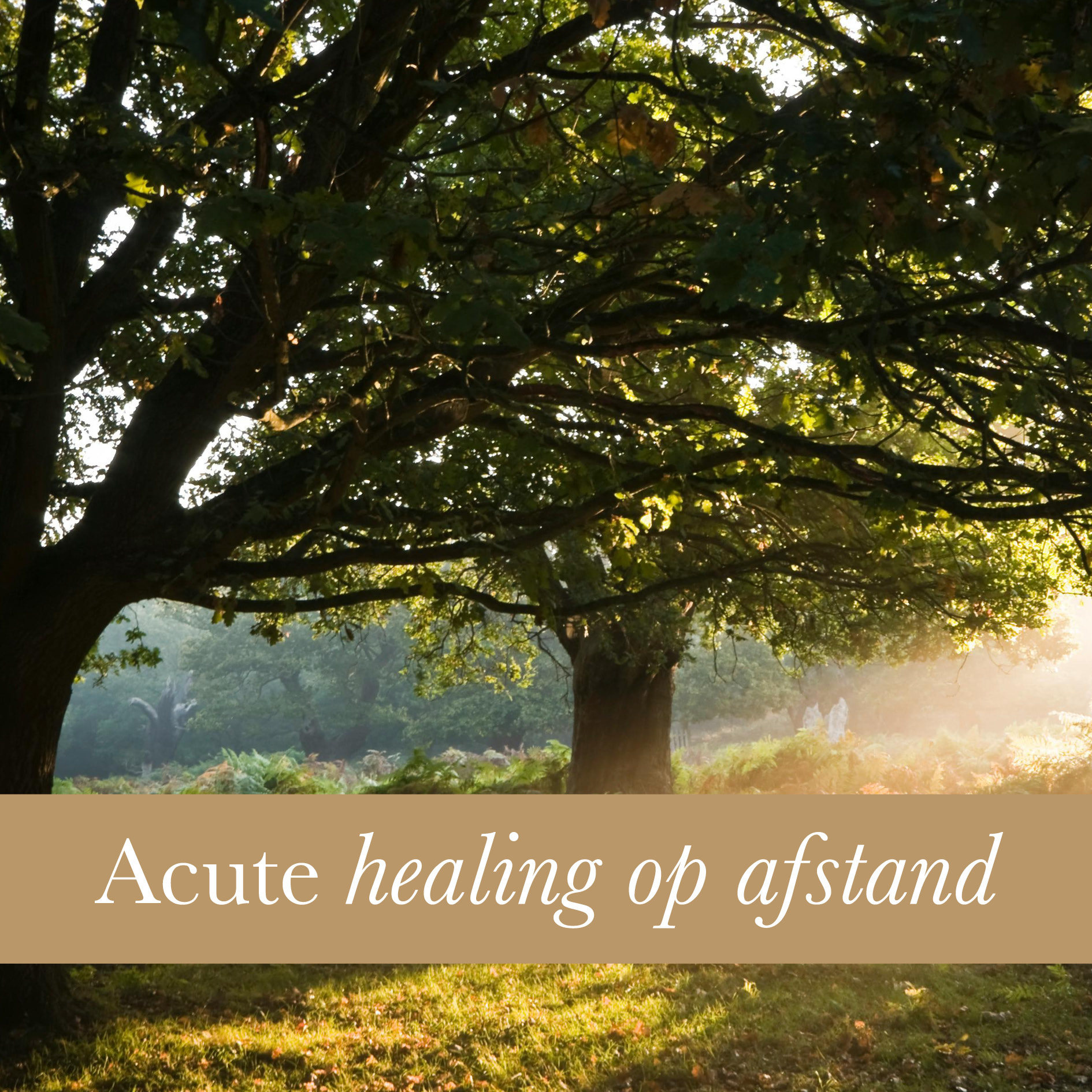 product_acute healing op afstand